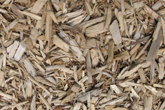 biomass boilers Maenaddwyn